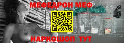 стаф Гатчина