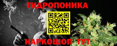 спайс Гай