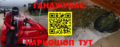 стаф Гатчина