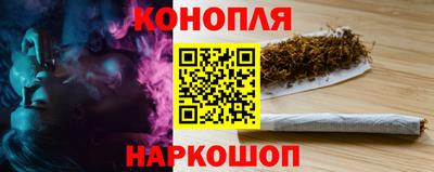 спайс Гай