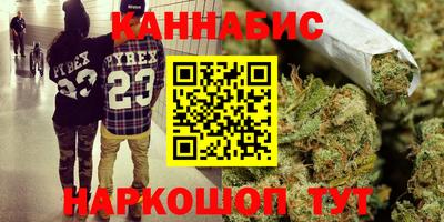 спайс Гай