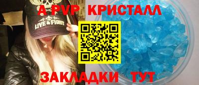 стаф Гатчина