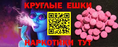 стаф Гатчина