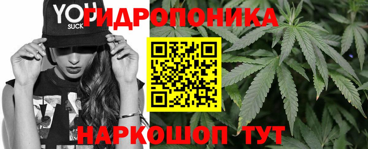 Конопля White Widow Гатчина